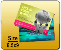 6x11 Effective EDDM Mailer